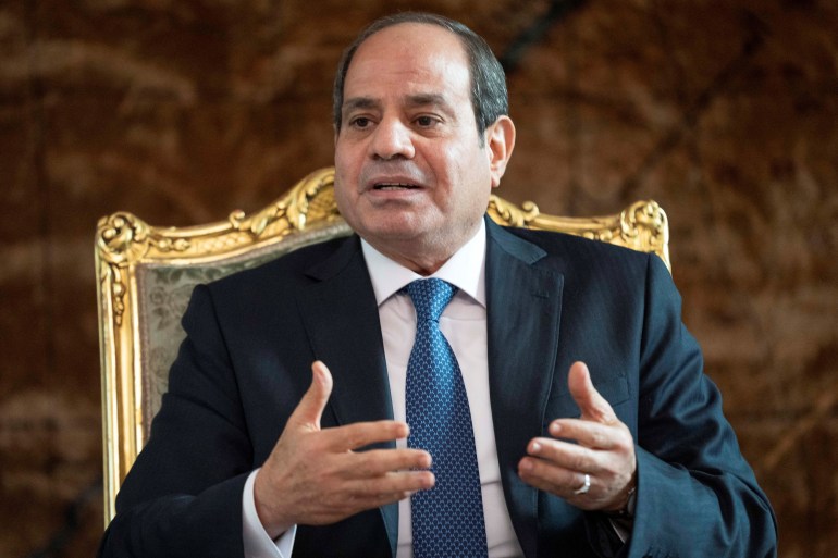 Egypt's President Abdel Fattah El-Sisi speaks