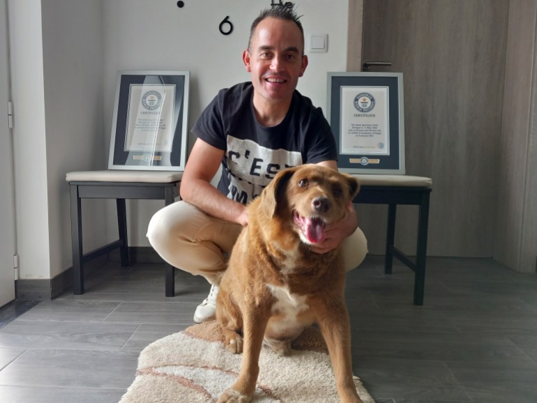 Bobi, a purebred Rafeiro do Alentejo Portuguese dog, poses for a photo with his owner Leonel Costa and his Guinness World Record certificates for the oldest dog, at their home in Conqueiros, central Portugal