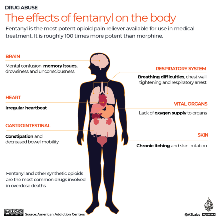INTERACTIVE- Effect of fentanyl on the body-1696489459