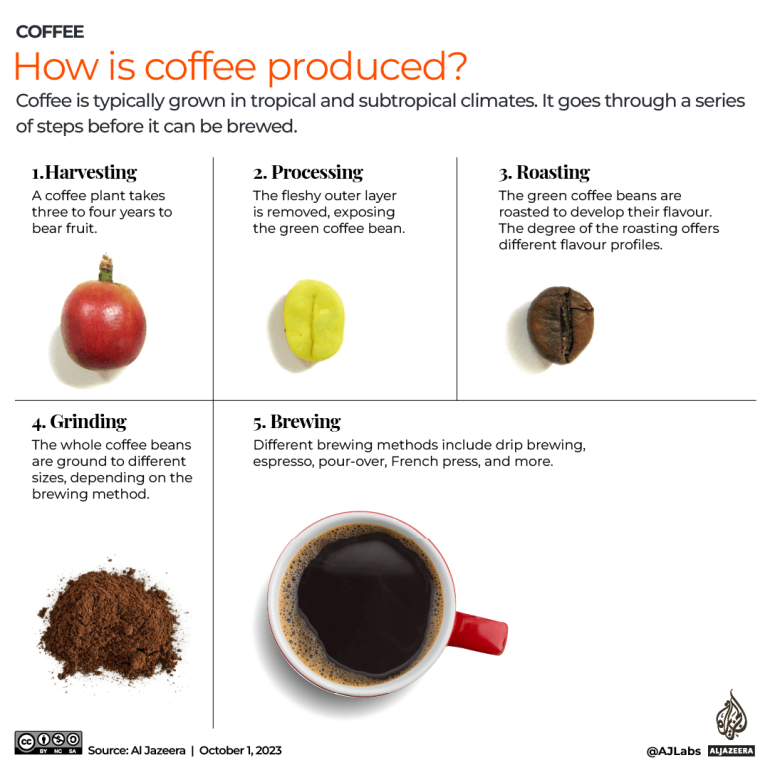 Giornata mondiale del caffè: da dove viene la tua dose di caffeina?  |  Notizia