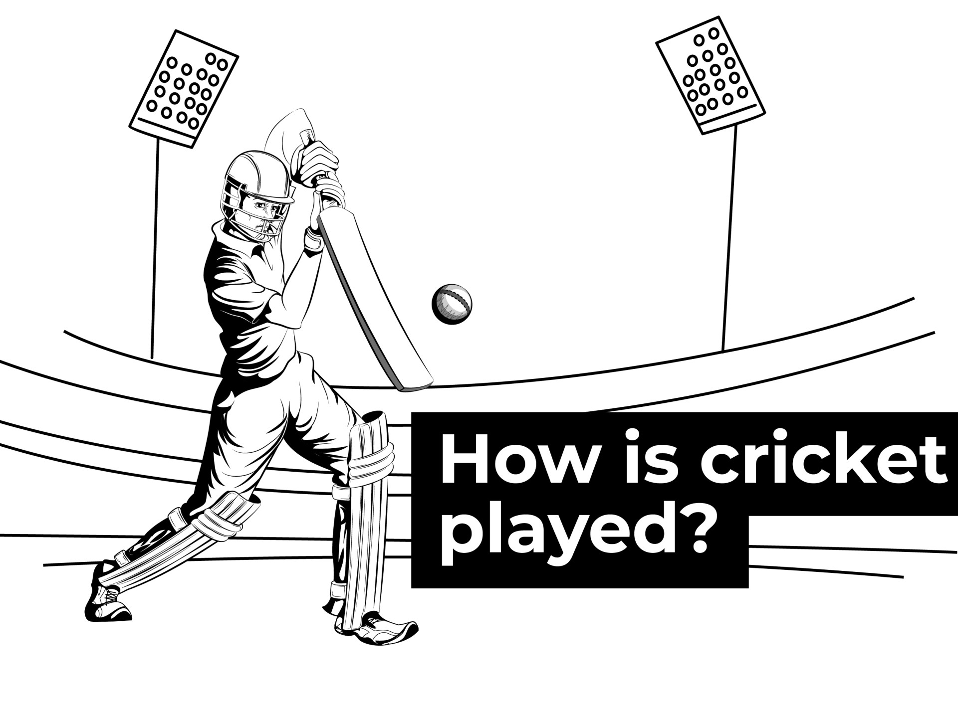 Interactive illustrated guide to cricket outside 1696491284
