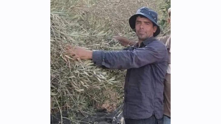 Bilal Saleh olive farmer