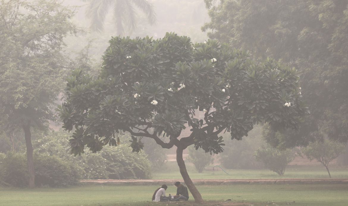 Indian people sit under a tree as the city is engulfed in heavy smog at Humayun's Tomb in New Delhi, India, 04 November 2023. Delhi and National Capital Region's Air Quality Index (AQI) slipped into the 'Severe and Hazardous' category