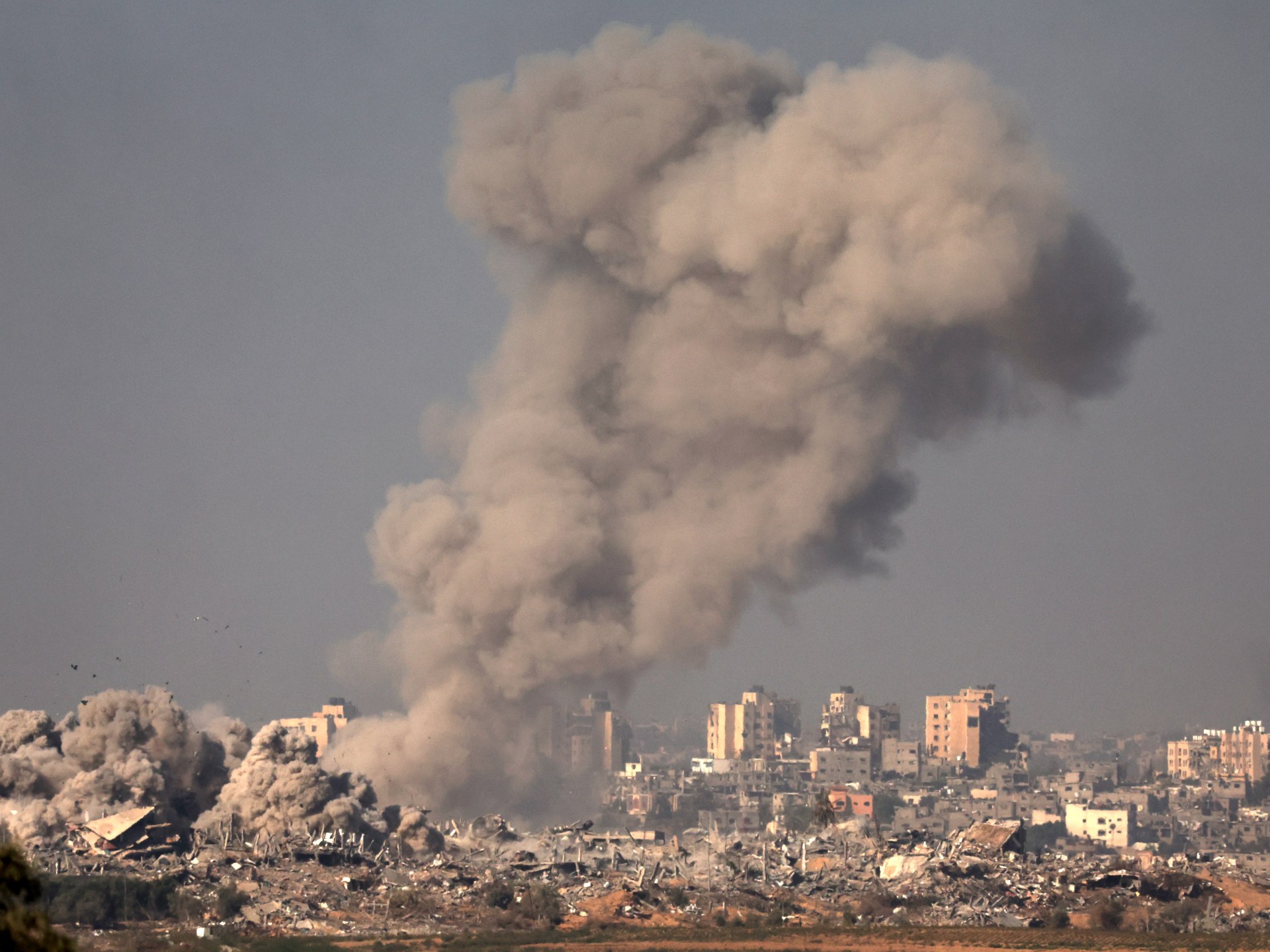 German civil servants demand ‘immediate’ end to Israeli arms supplies | Israel War on Gaza News