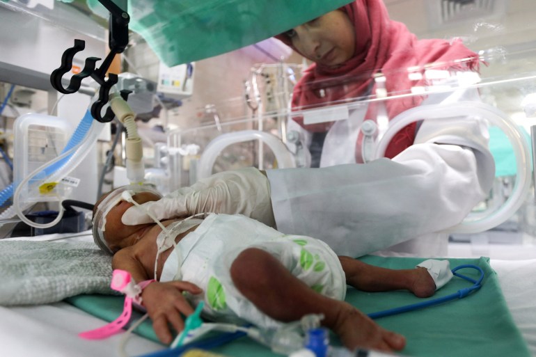 A medical worker assists a premature Palestinian baby who lies in an incubator at the maternity ward of Shifa Hospital