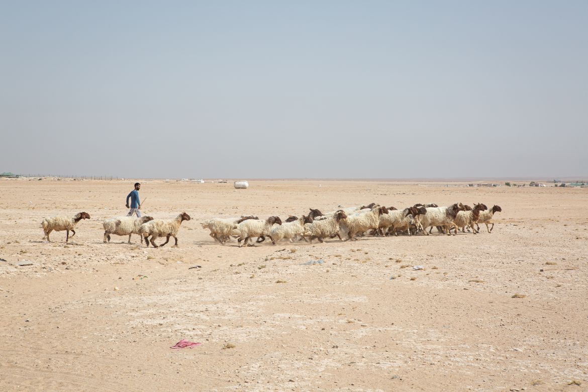 Indian migrant worker Sunil Kumar works as shepherd in Kuwait's desert.