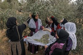 Palestinian youth, wearing traditional embroidered dresses, pick olives during a ceremony marking the start of the olive harvest season in Deir al-Balah in the central Gaza Strip