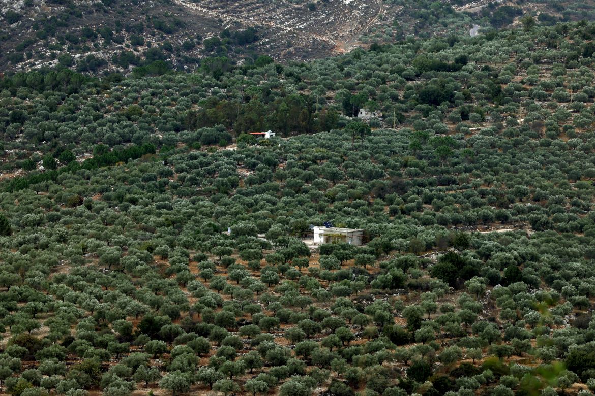 This image shows olive groves near the southern Lebanese town of Hasbaya near the border with Israel.