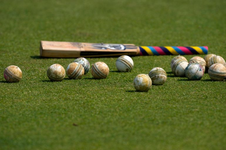 cricket bat and balls