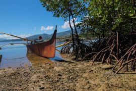 A small boat with a prominent bow moored in the mangroves in Silago. The sky is blue and the sea calm.