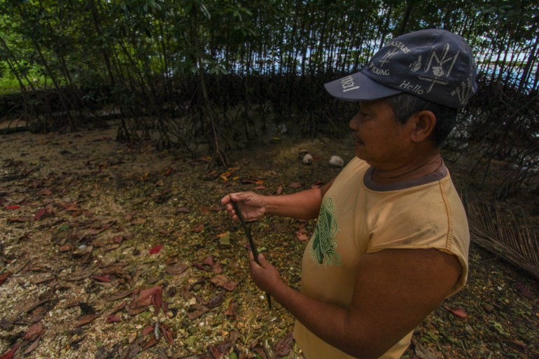Alejandro Sumayang mostrando cómo planta las plántulas.  El suelo es arenoso y fangoso. Tiene un palo en la mano. 