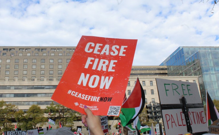 Protester in Washington, DC holding sign that reads 'Ceasefire Now'