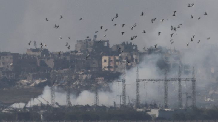 Birds fly as smoke rises over Gaza,