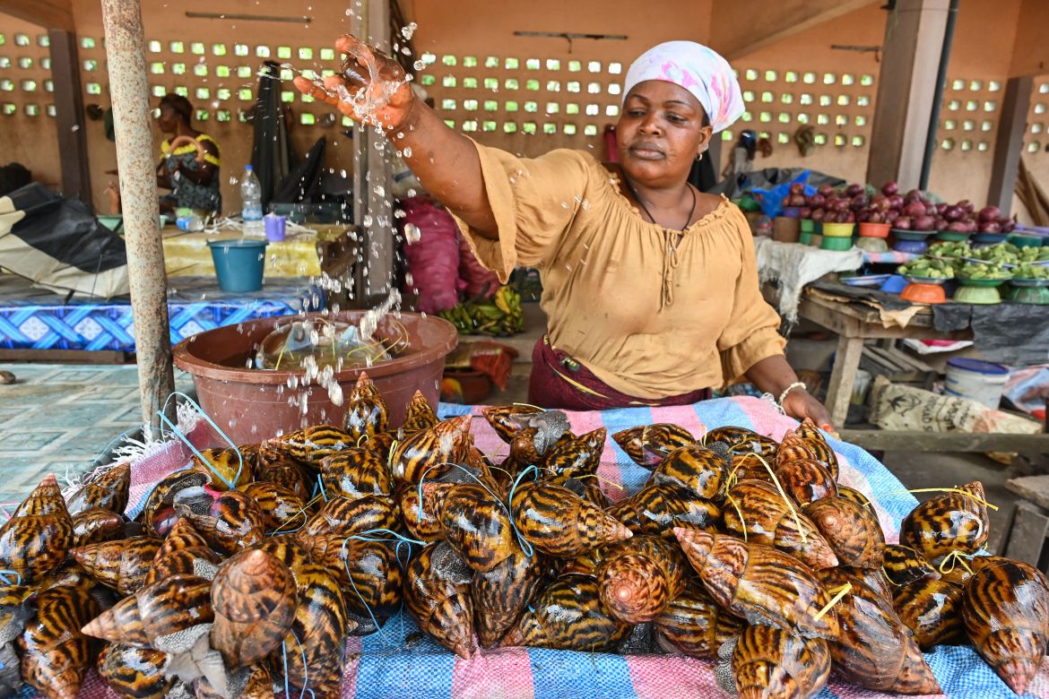A vendor sells snails at a market in Azaguie.