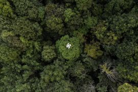 This aerial photograph taken on November 22, 2023 shows a drone doing a forest restoration survey over a reforested area in Chiang Mai.