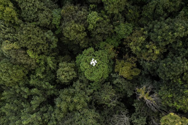 Дроновете помагат за разрешаването на загадката за улавяне на въглерод от горите в Тайланд