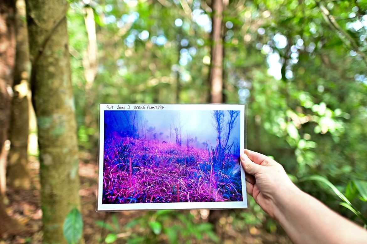 This picture taken on November 22, 2023 shows Stephen Elliott, research director at Chiang Mai University's Forest Restoration Research Unit (FORRU), holding a picture of barren land before it was reforested on a hillside near Chiang Mai.
