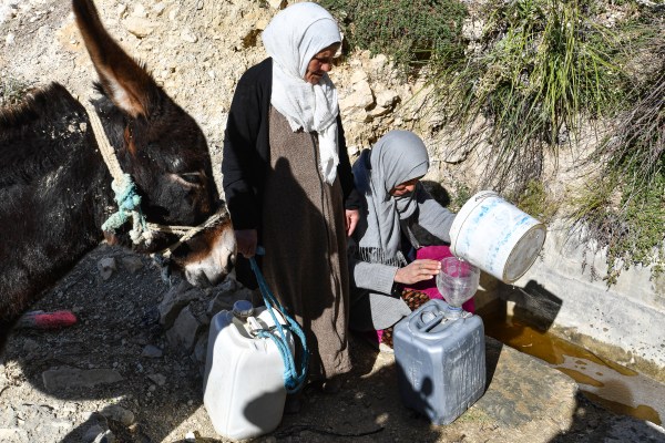 Тунизийският селянин Униса Мазхуд завързва две празни бидони за магаре