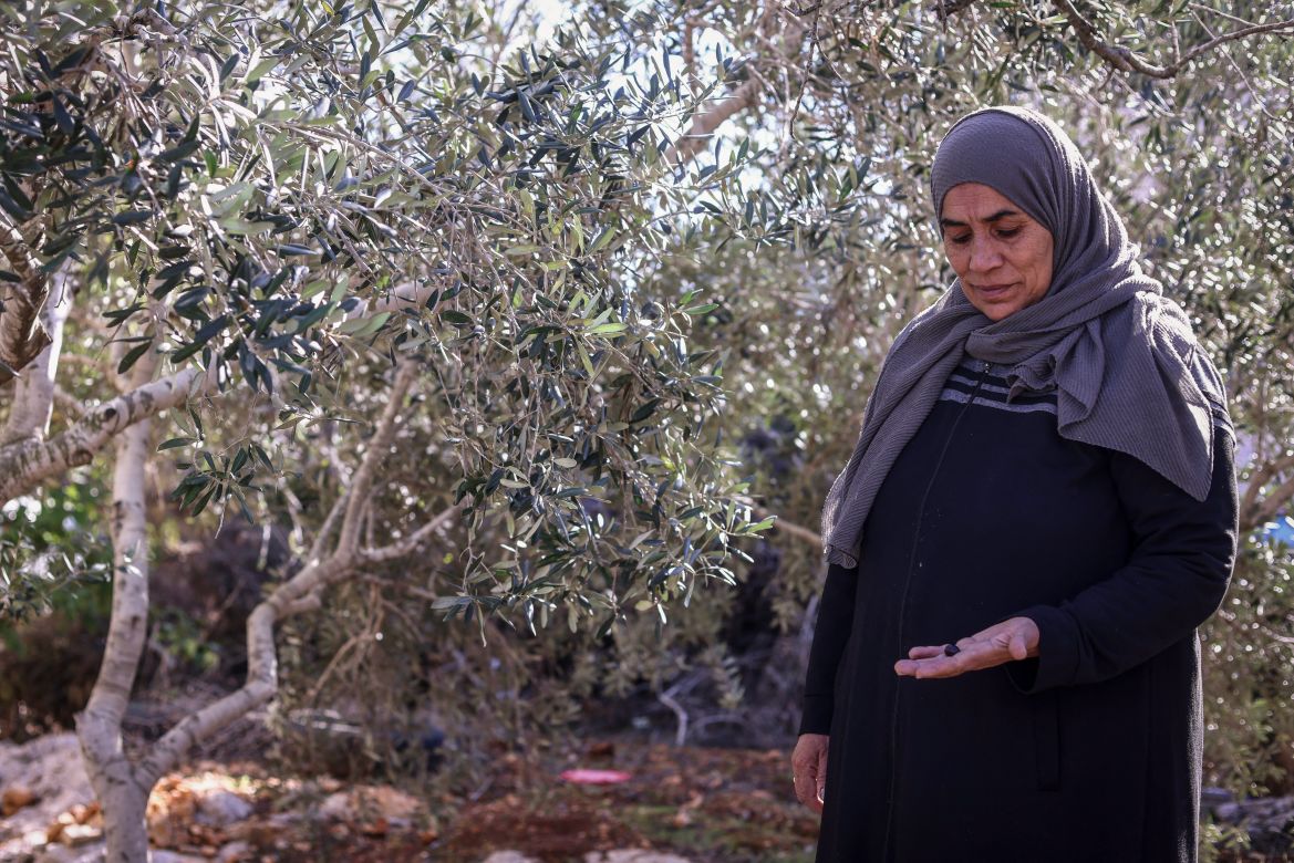 A relative of Palestinian Bilal Saleh, stands near olive trees in the village of As-Sawiyah, south of Nablus in the occupied West Bank.