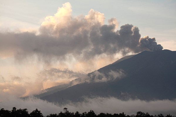 Медан, Индонезия – Според местния рейнджър Аджо никой не е