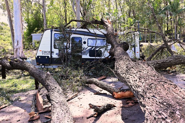 Uma caravana atingida por uma árvore caída perto da Gold Coast, na Austrália.  A caravana está estacionada numa zona arborizada.
