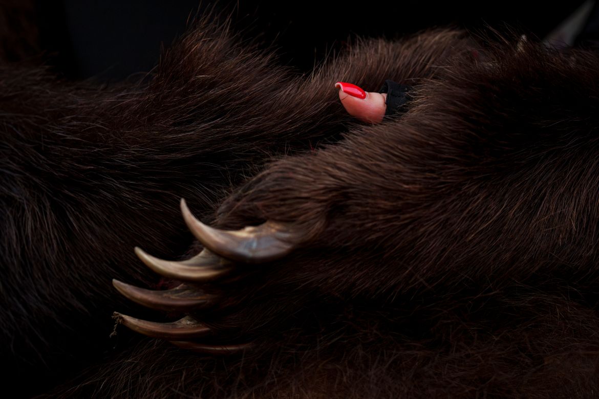 The thumb of a female member of the Sipoteni bear pack peers from inside her costume in Preluci, northern Romania, Tuesday, Dec. 26,