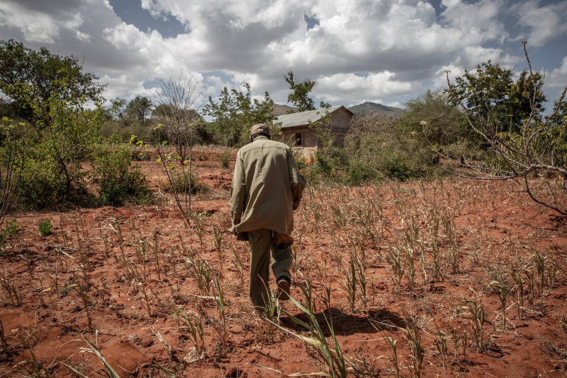 Clement Mangi walks across his dry maize fields. “We are concerned because we are starving. All of what I have planted is dead. Many animals have died. We ask ourselves what we have done wrong.”