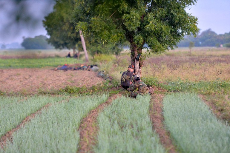 People's Liberation Army forces fight the Myanmar junta army near Sagaing Region. They are in a field planted with crops, taking cover behind a tree.