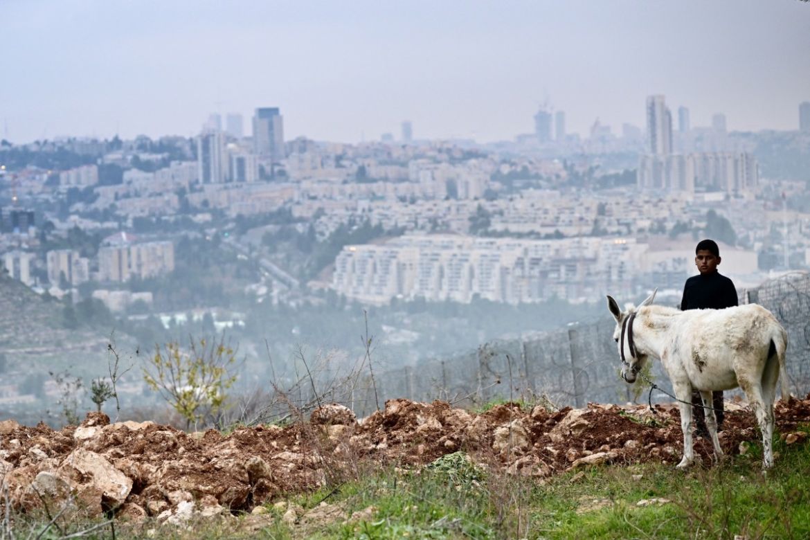 A Palestinian youth stands with a donkey in front of the West Bank barrier in Al-Walaja