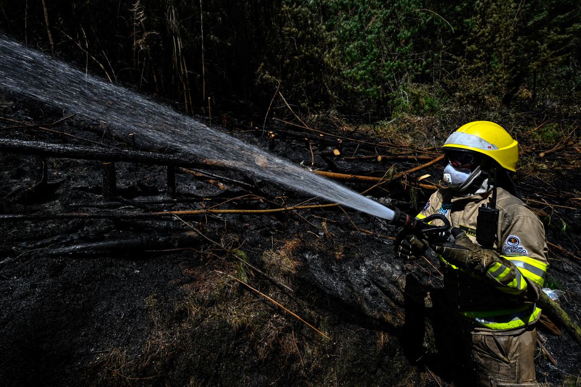 A firefighter puts out a forest fire in Nemocon, Colombia