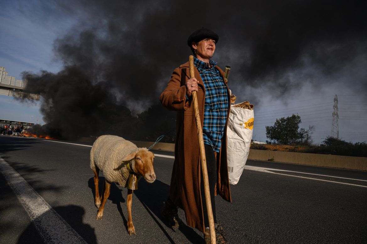 A woman and a sheep walk along a road near black smoke billowing from a burning caravan on the A9 autoroute occupied by farmers and winegrowers from Narbonne and the surrounding areas during a protest against taxation and declining income, near the Croix Sud toll booth in Narbonne on January 26