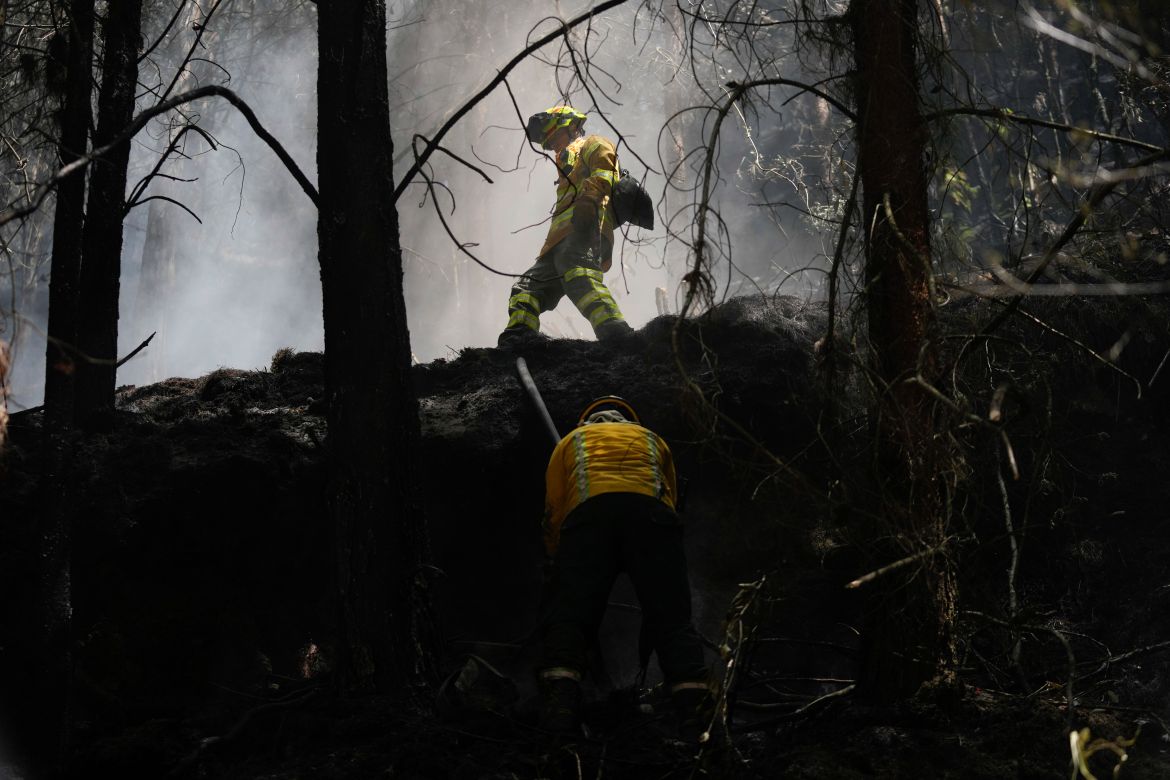 Firefighters work to control a forest fire on El Cable Hill in Bogota, Colombia, Thursday, Jan. 25