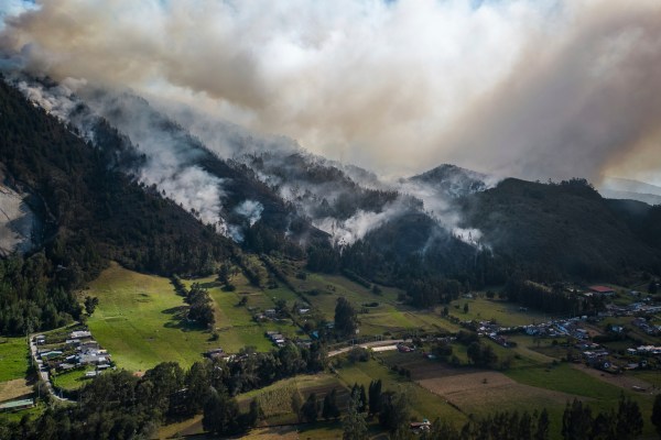 Горските пожари са унищожили повече от 17 000 хектара (42
