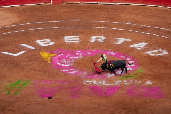 Борбите с бикове се подновяват в Мексико Сити