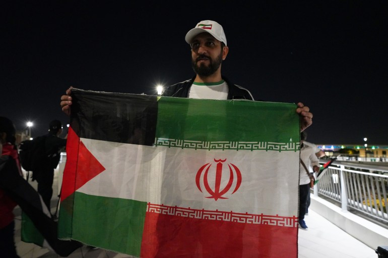 Iran fan with half and half flag
