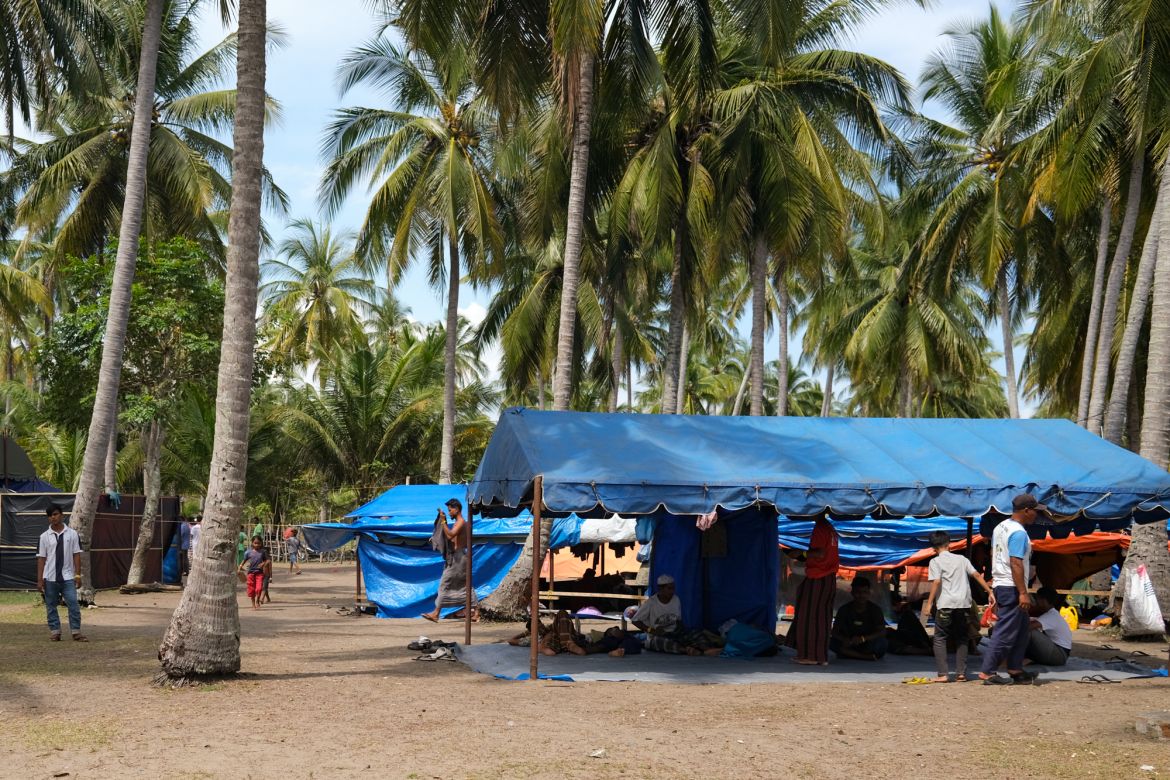 The refugees sleep under tarpaulins and coconut trees
