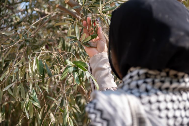 woman holding olive tree branch wearing keffiyeh