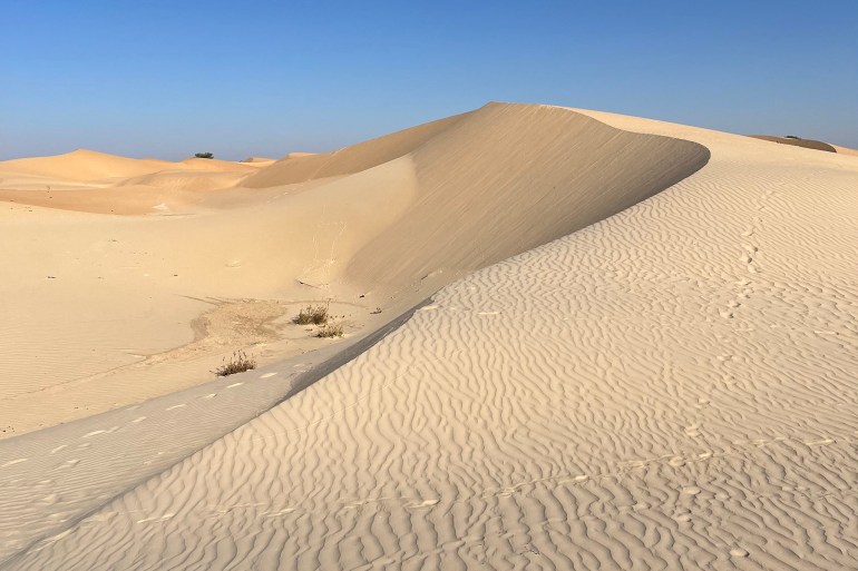 Dune in the surrounding area of Toshia town near the Nigeria - Niger Border. [Murtala Abdullahi]