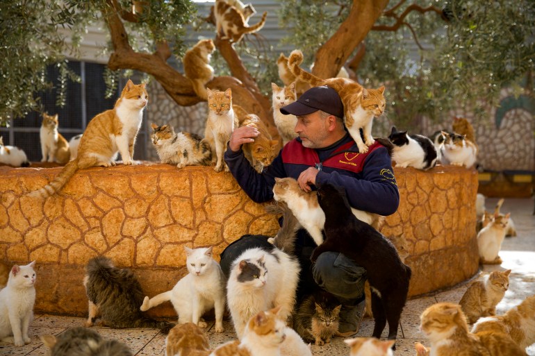 Wattar surrounded by cats, on his lap, on the ground in front of him, on a half wall behind him