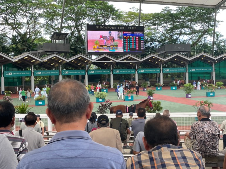 A few people watching the horses as they're walked in the paddock. The spectators are on raised seating. The horses are down below. It is covered.