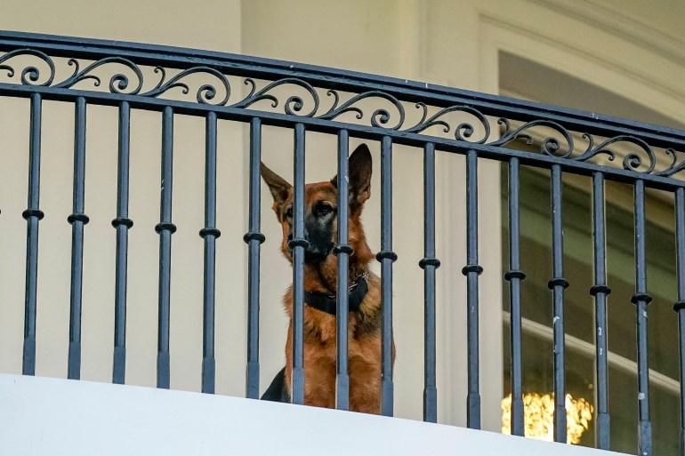 Der Hundekommandant von US-Präsident Joe Biden