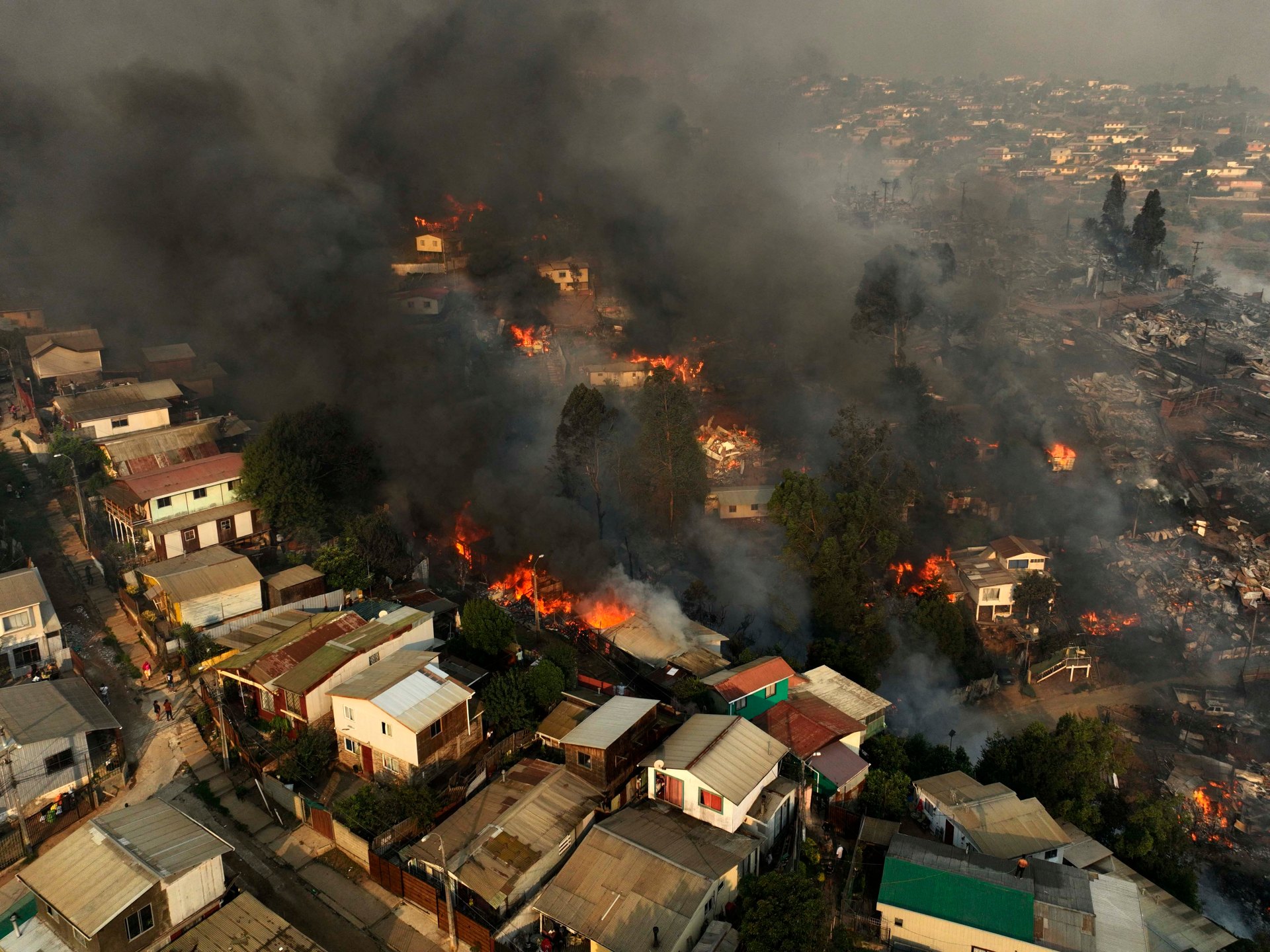 Chile declara estado de emergencia después de que 40 personas murieran en incendios forestales  Noticias sobre la crisis climática