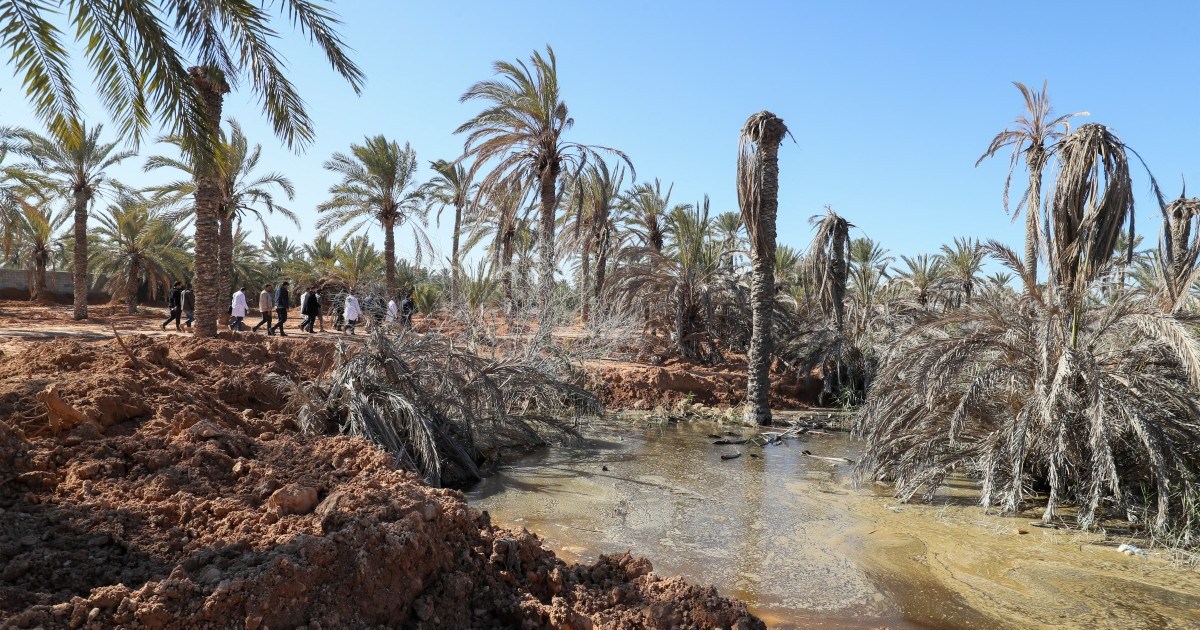 Mystery groundwater upsurge floods homes in Libyan coastal town | Environment News