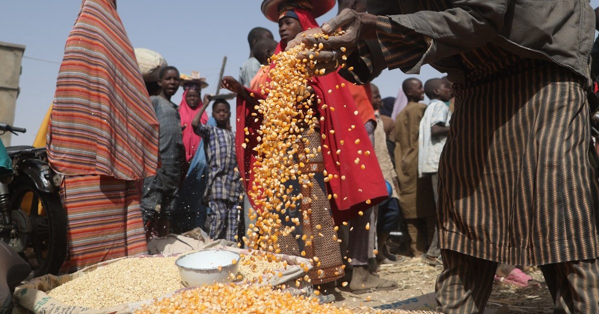 Nearly 55 million face hunger in West and Central Africa, UN warns | Hunger News