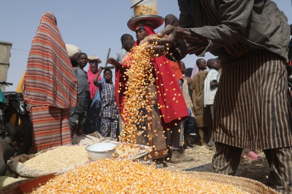 Близо 55 милиона са изправени пред глад в Западна и Централна Африка, предупреждава ООН