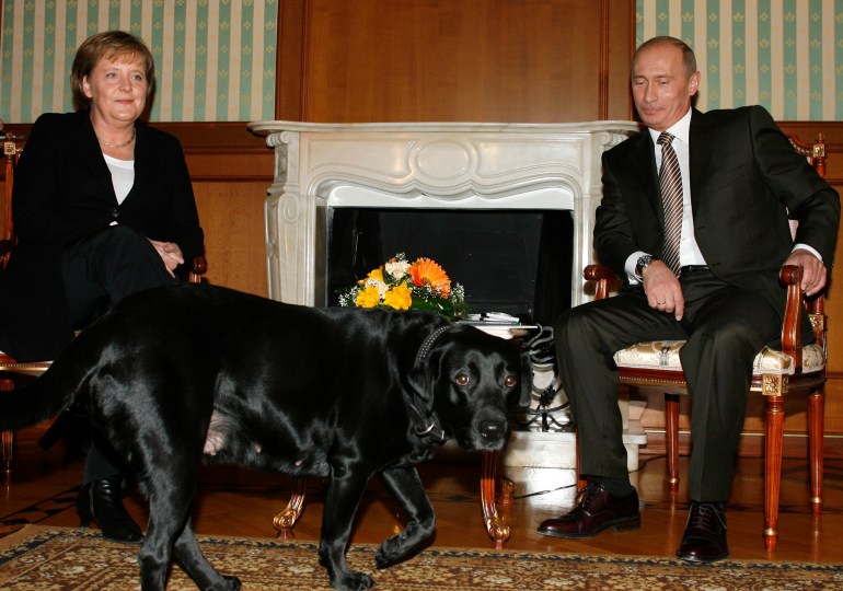 Le chien de Joe Biden, Commander, est-il le seul animal de compagnie présidentiel fauteur de troubles ?  |  Joe Biden Actualités