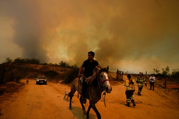 Пожарникарите се борят с масивни горски пожари в централно Чили.
Длъжностни