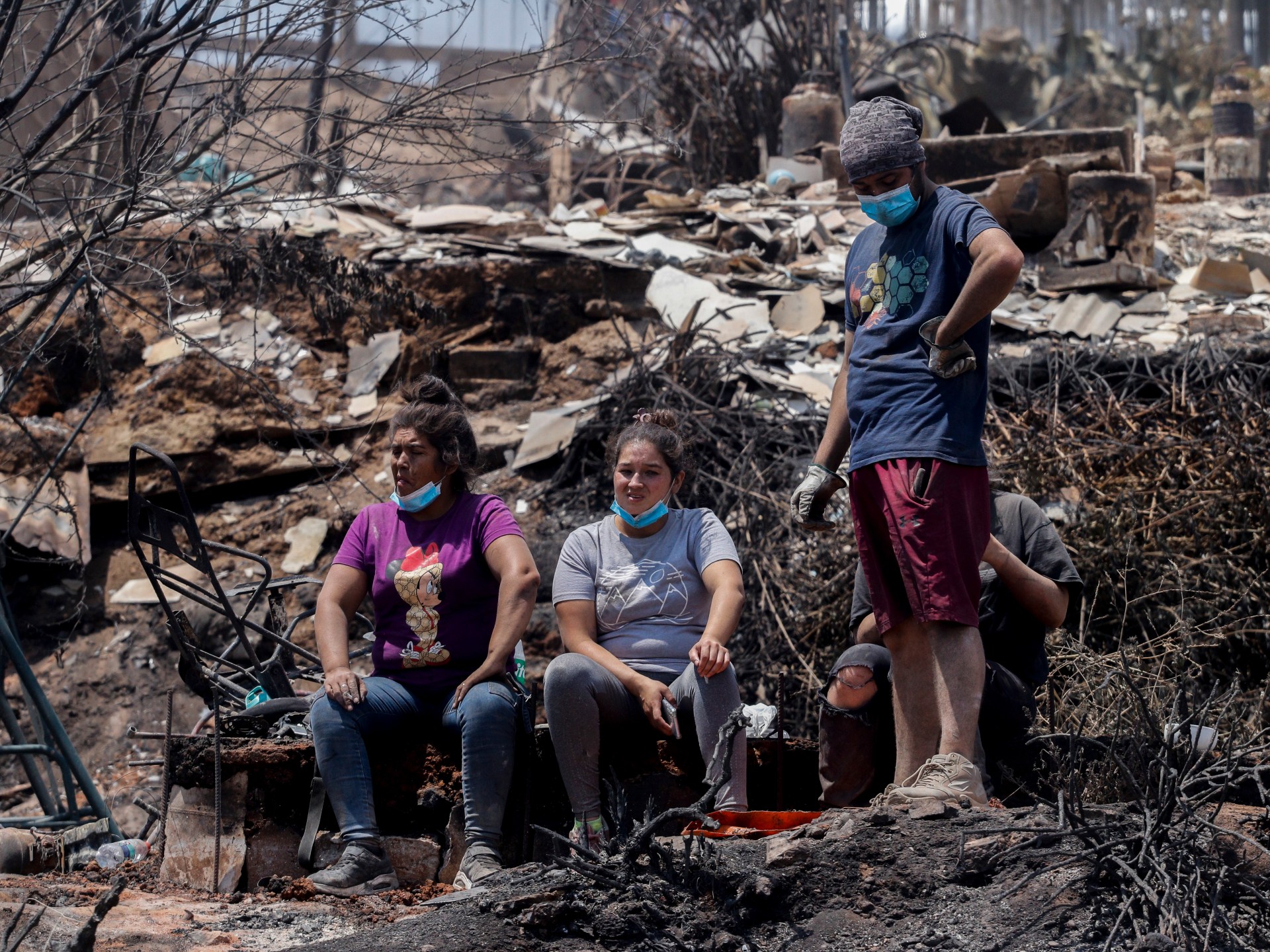 Gli incendi boschivi in ​​Cile uccidono almeno 112 persone e Buric avverte che il bilancio delle vittime è in aumento |  Notizie sulla fauna selvatica