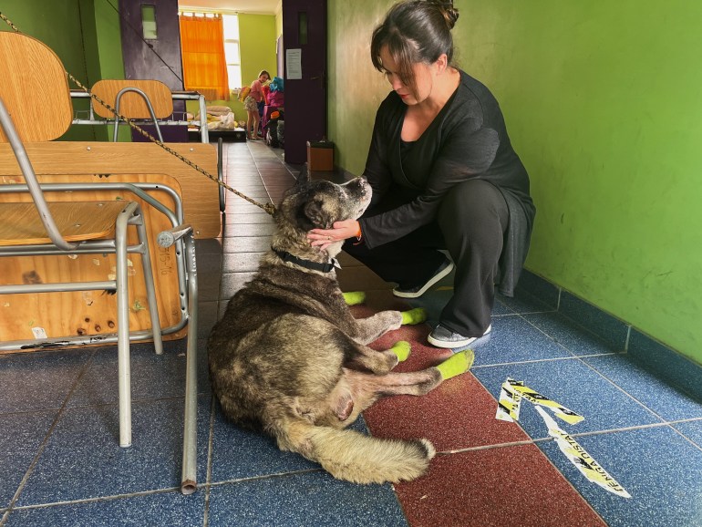 Alma Ortega, dressed in black, kneels to cup the face of her dog as they stay in a school-turned-emergency shelter.