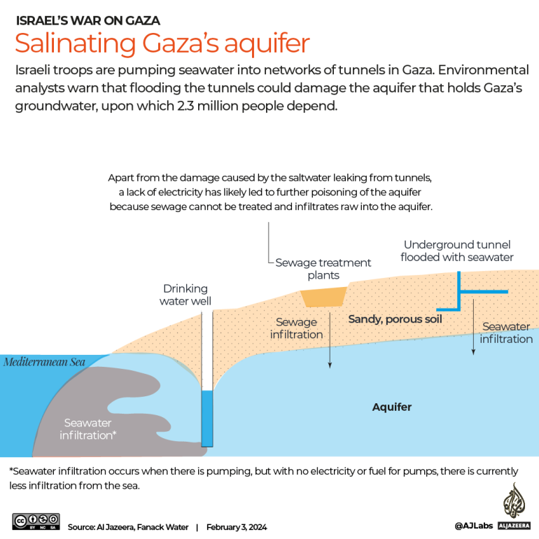INTERACTIVE-Salinating Gaza's aquifier